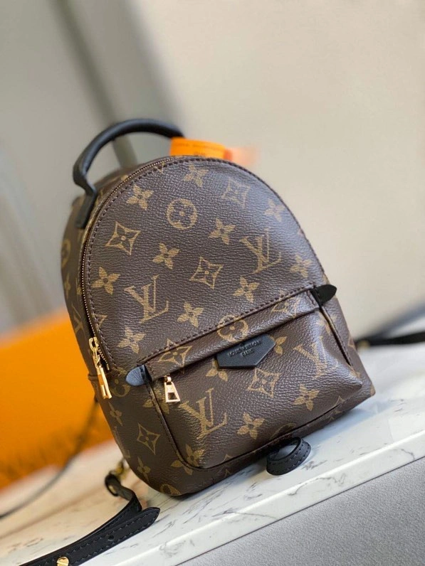 Louis Vuitton Backpacks Minimalist 93982