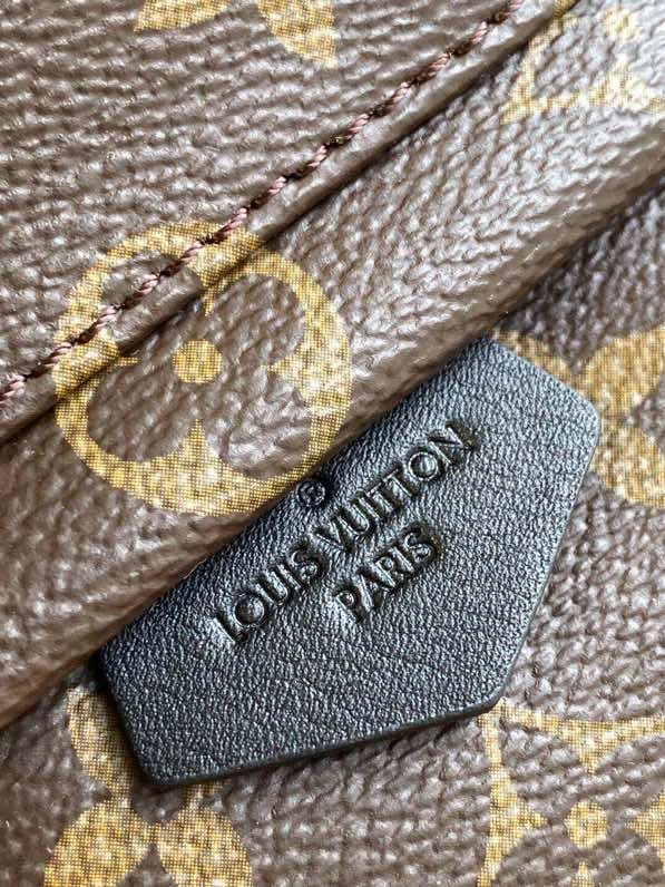 Louis Vuitton Backpacks Minimalist 93982