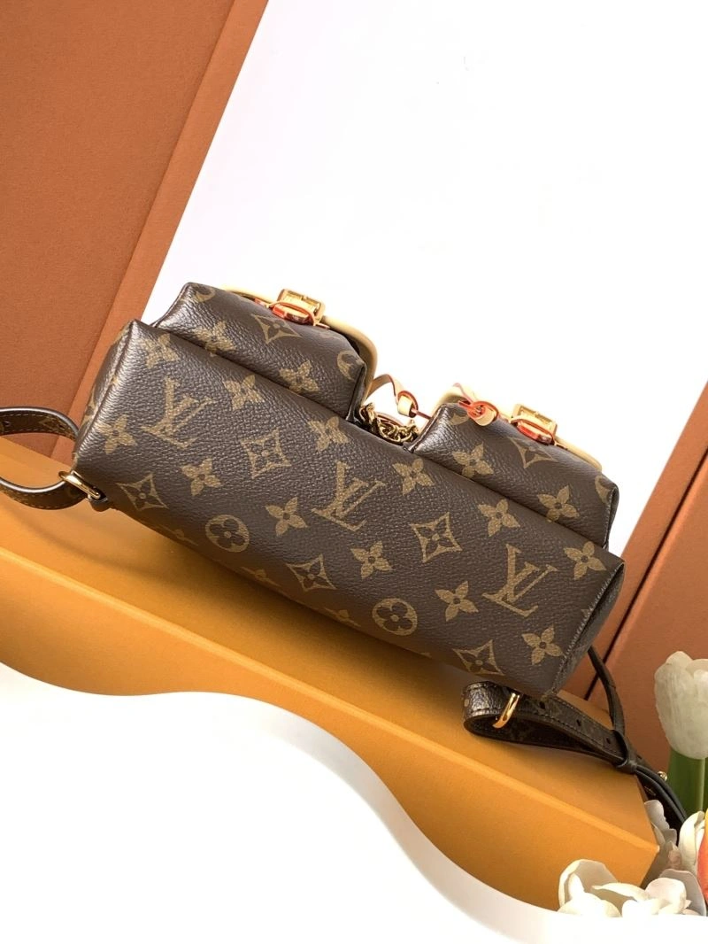 Louis Vuitton Backpacks Bright 93904