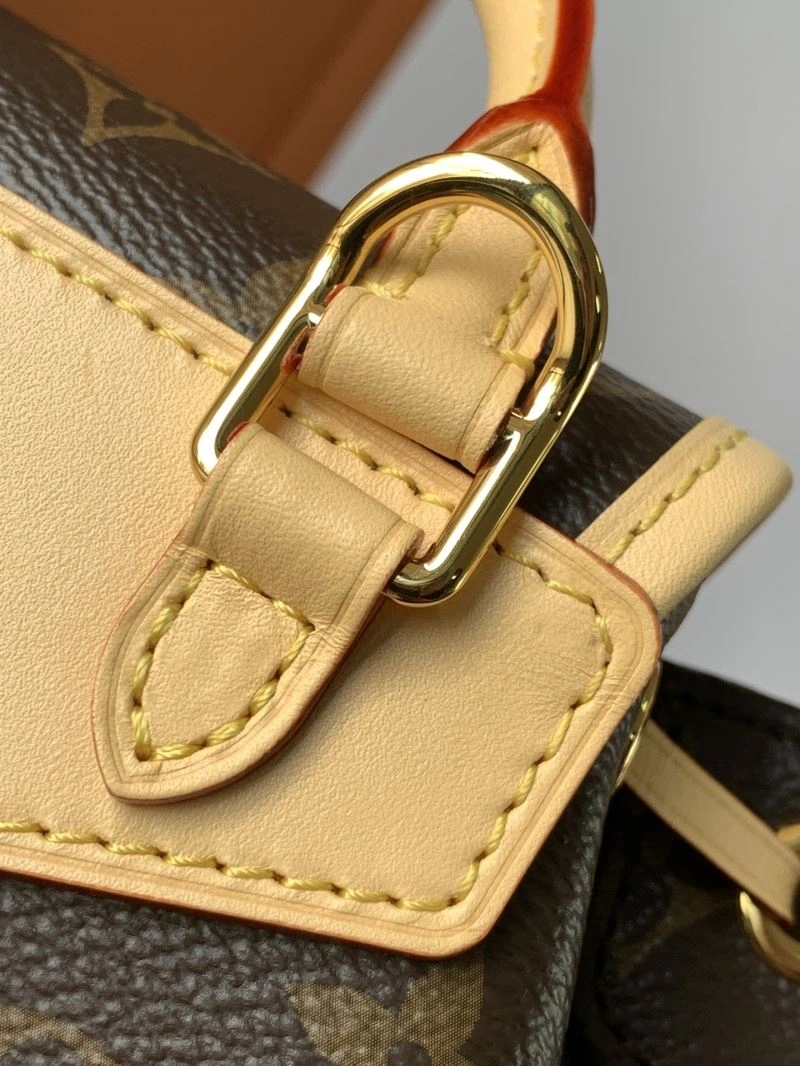 Louis Vuitton Backpacks Bright 93904