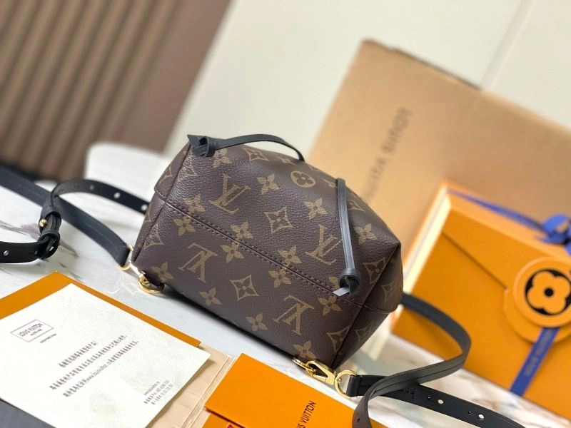 Casual Louis Vuitton Backpacks 93688