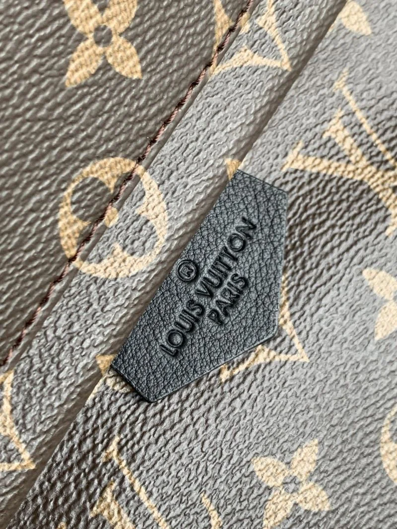 Louis Vuitton Backpacks Stretchable 43427
