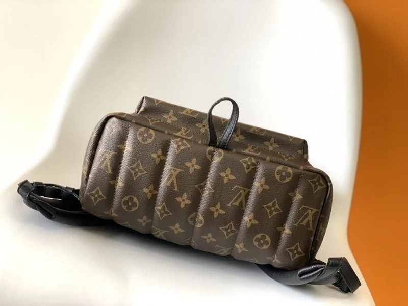 Louis Vuitton Backpacks Stretchable 43427