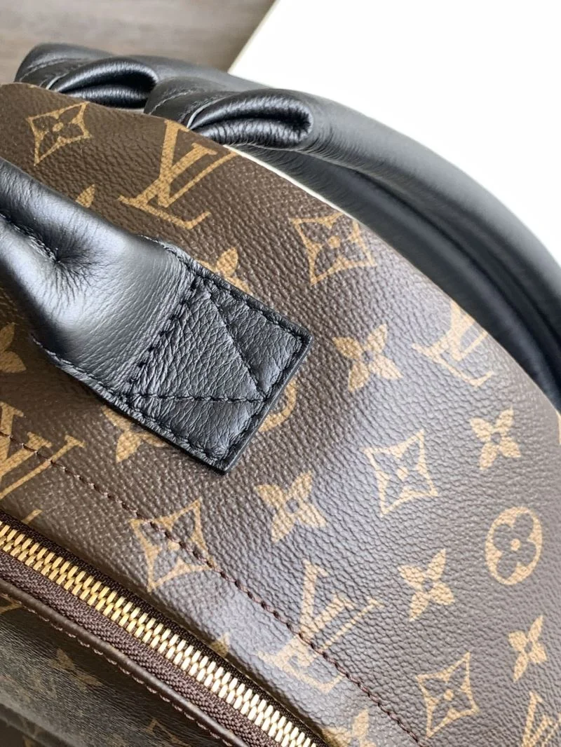 Louis Vuitton Backpacks Stretchable 43427