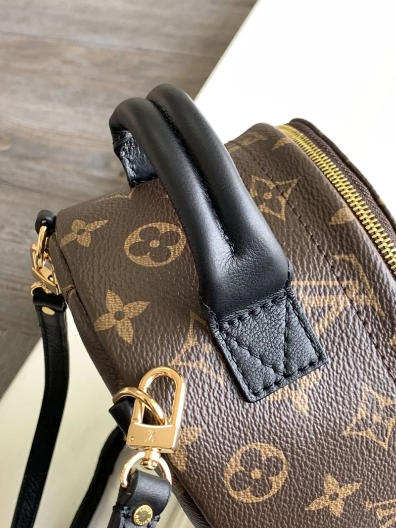 Resilient Louis Vuitton Backpacks 43468