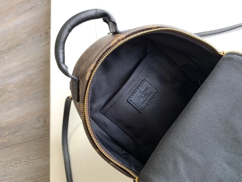 Resilient Louis Vuitton Backpacks 43468