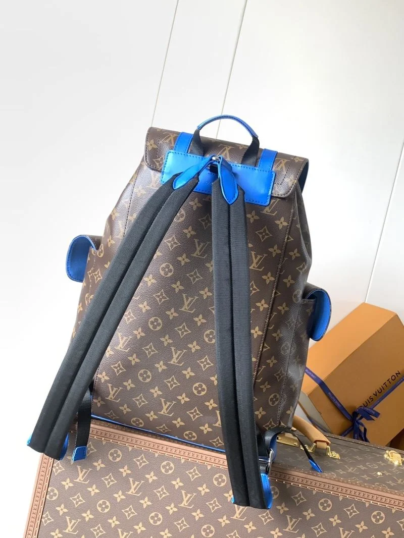 Louis Vuitton Backpacks Flexible 43425