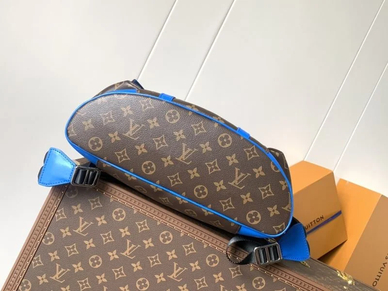 Louis Vuitton Backpacks Flexible 43425