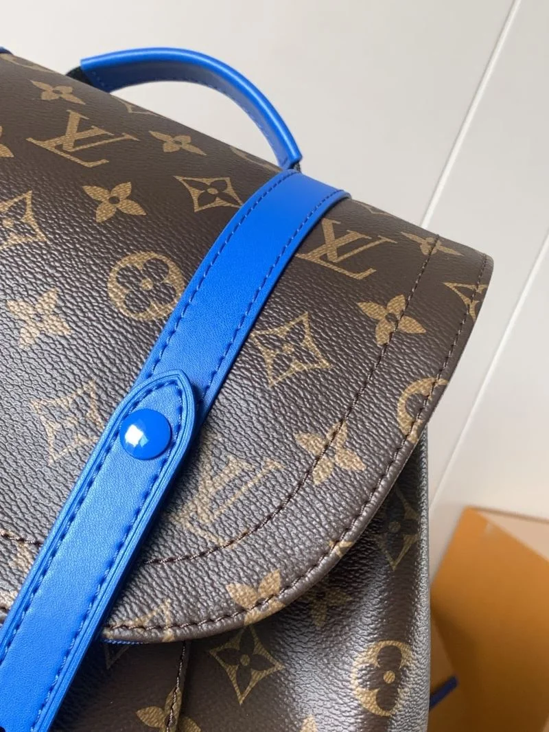 Louis Vuitton Backpacks Flexible 43425