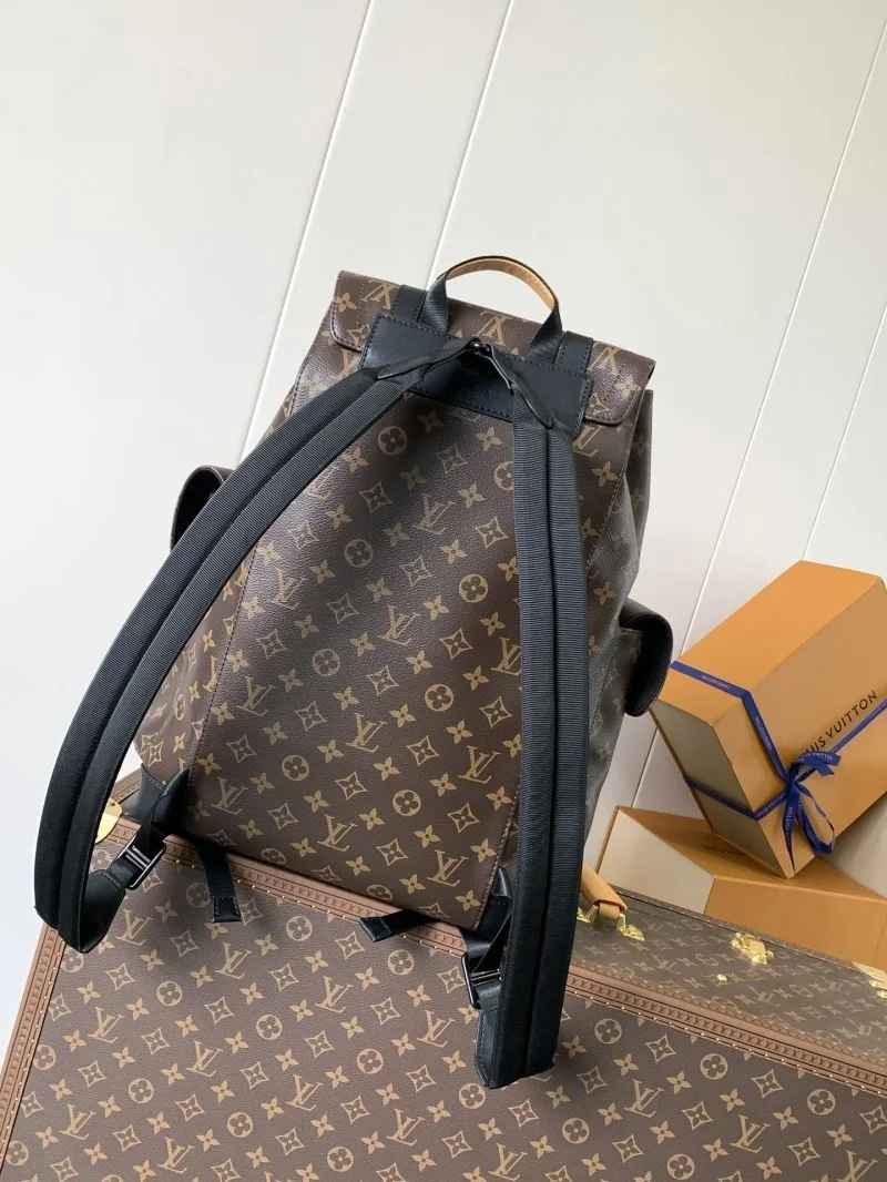 EasyMatch Louis Vuitton Backpacks 43421