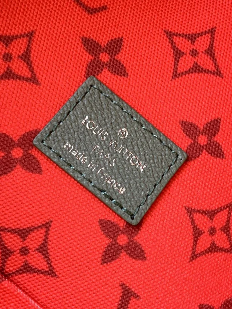 Louis Vuitton Backpacks Snug 43430