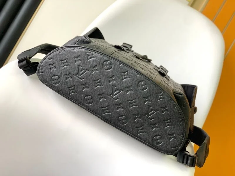Vibrant Louis Vuitton Backpacks 43142