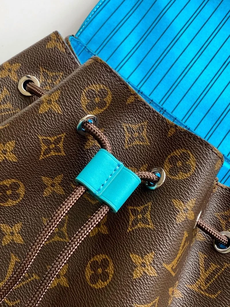 Louis Vuitton Backpacks Vibrant 43150