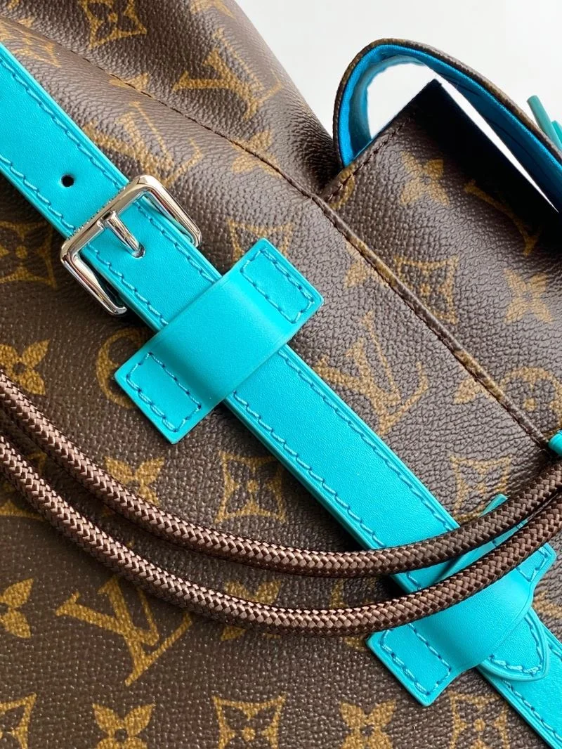 Louis Vuitton Backpacks Vibrant 43150