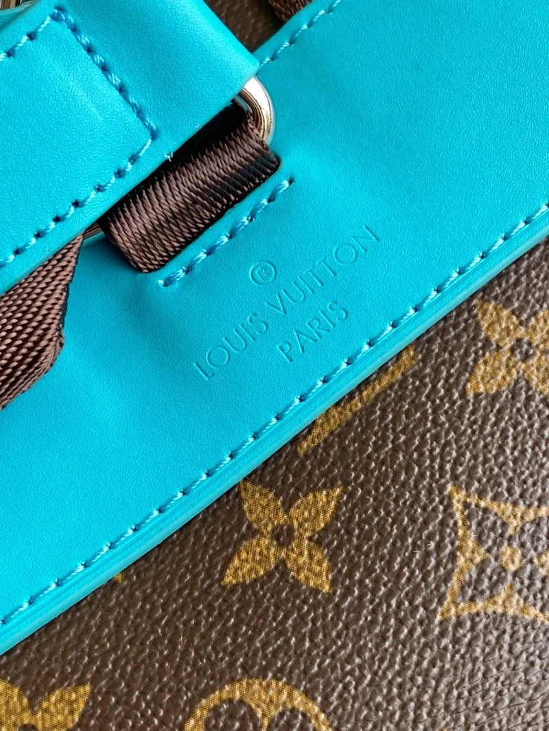 Louis Vuitton Backpacks Vibrant 43150