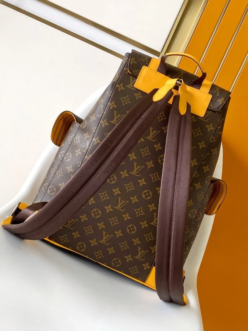 Louis Vuitton Backpacks Sophisticated 43138