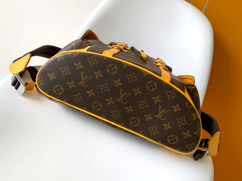Louis Vuitton Backpacks Sophisticated 43138