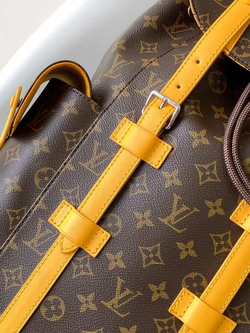 Louis Vuitton Backpacks Sophisticated 43138