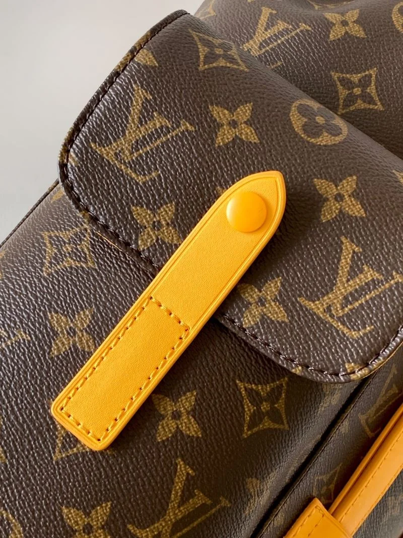 Louis Vuitton Backpacks Sophisticated 43138