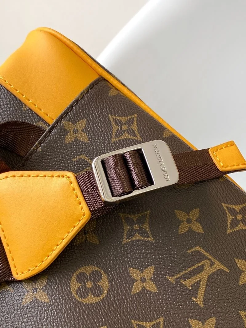 Louis Vuitton Backpacks Sophisticated 43138
