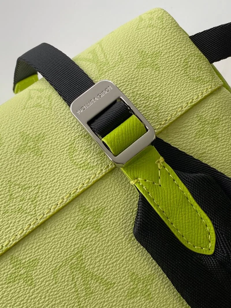 Louis Vuitton Backpacks Resilient 43109