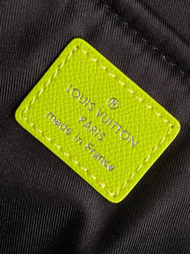 Louis Vuitton Backpacks Resilient 43109