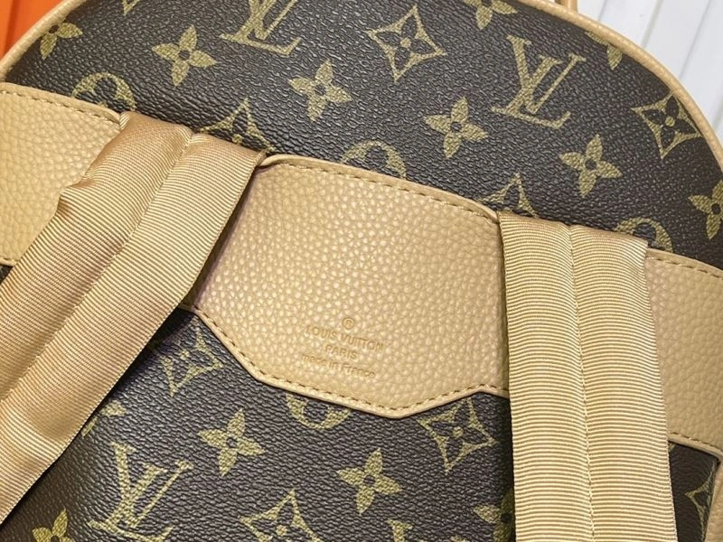 Elegant Louis Vuitton Backpacks 80271
