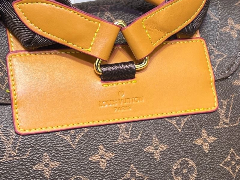 Louis Vuitton Backpacks EasyMatch 80274