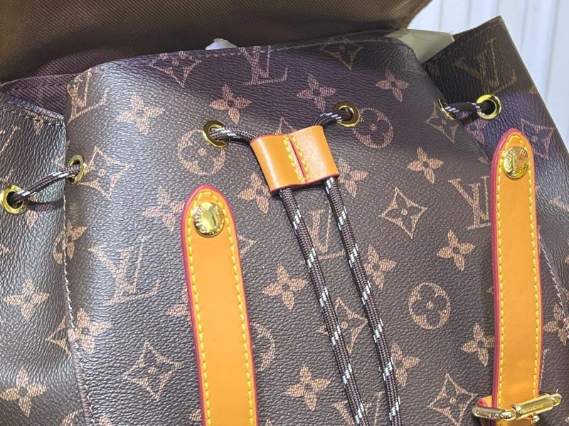 Louis Vuitton Backpacks EasyMatch 80274