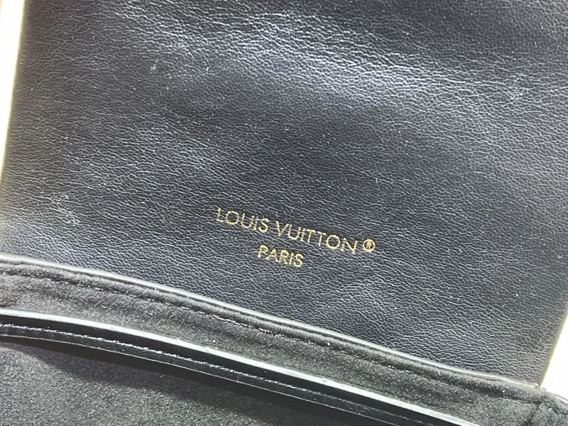 Bright Louis Vuitton Backpacks 80292