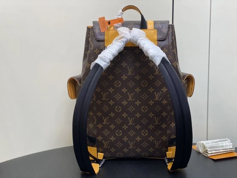 Resilient Louis Vuitton Backpacks 41435