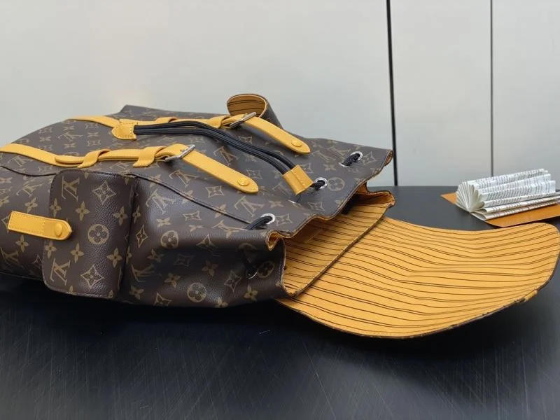 Resilient Louis Vuitton Backpacks 41435