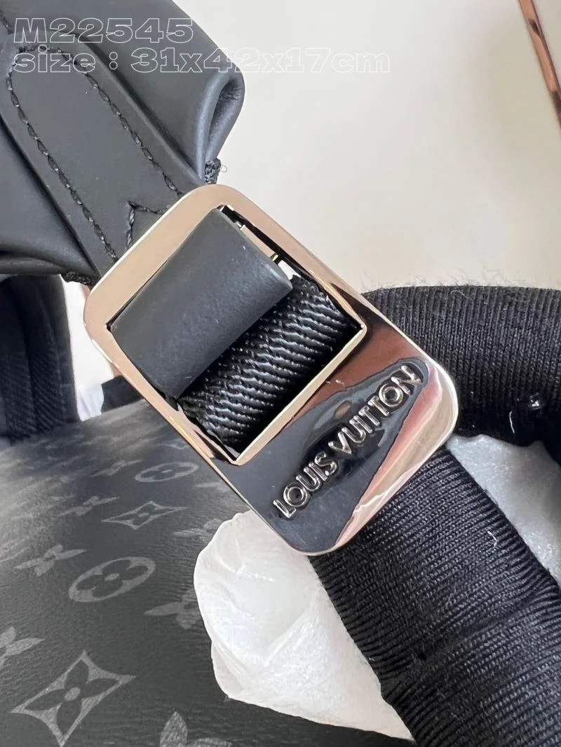 Louis Vuitton Backpacks Packable 41431