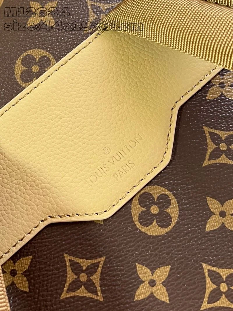 Louis Vuitton Backpacks Colorful 41423