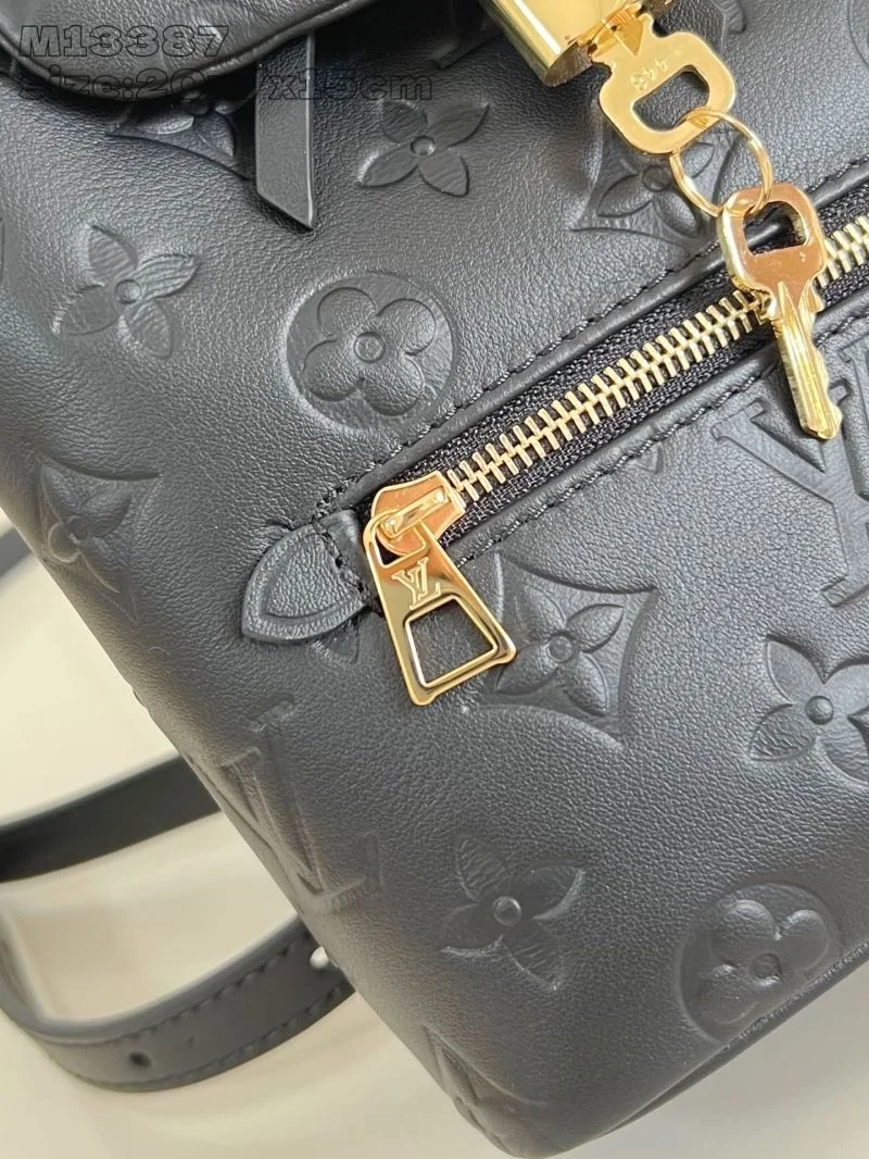 GoAnywhere Louis Vuitton Backpacks 40795