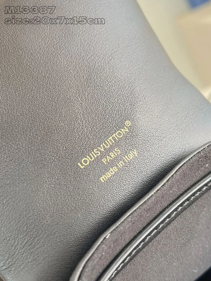 GoAnywhere Louis Vuitton Backpacks 40795