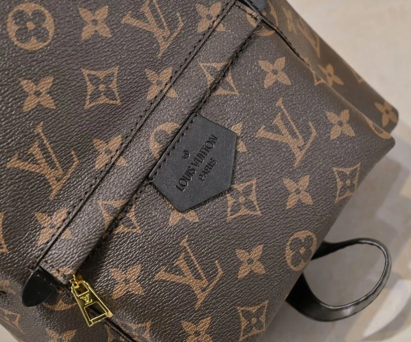 FreshLook Louis Vuitton Backpacks 79923