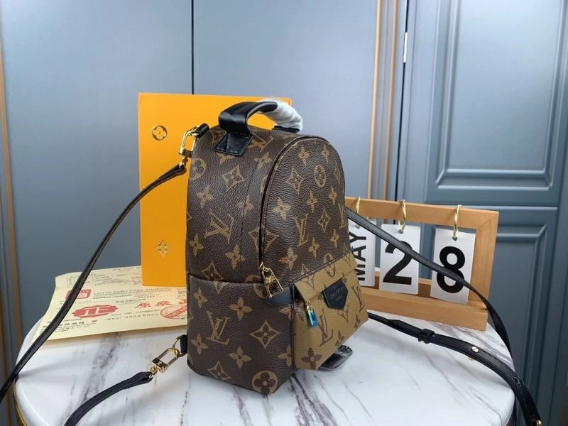 Neat Louis Vuitton Backpacks 79907