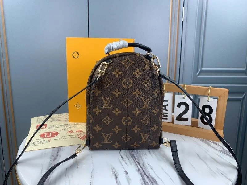 Neat Louis Vuitton Backpacks 79907