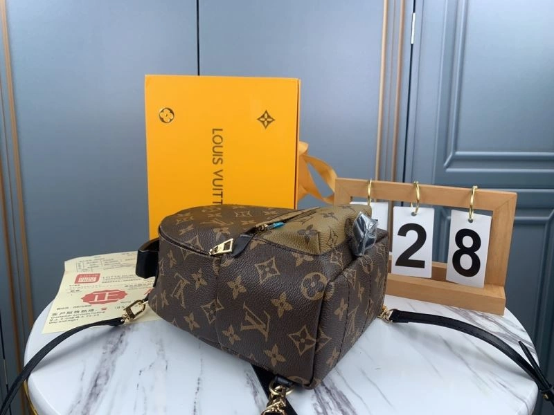 Neat Louis Vuitton Backpacks 79907