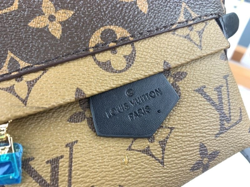 Neat Louis Vuitton Backpacks 79907