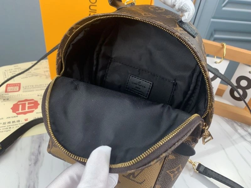 Neat Louis Vuitton Backpacks 79907
