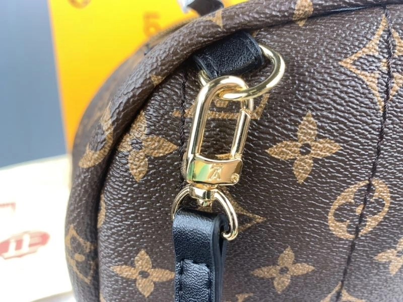 Neat Louis Vuitton Backpacks 79907
