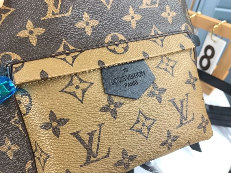 Louis Vuitton Backpacks AllSeason 79914