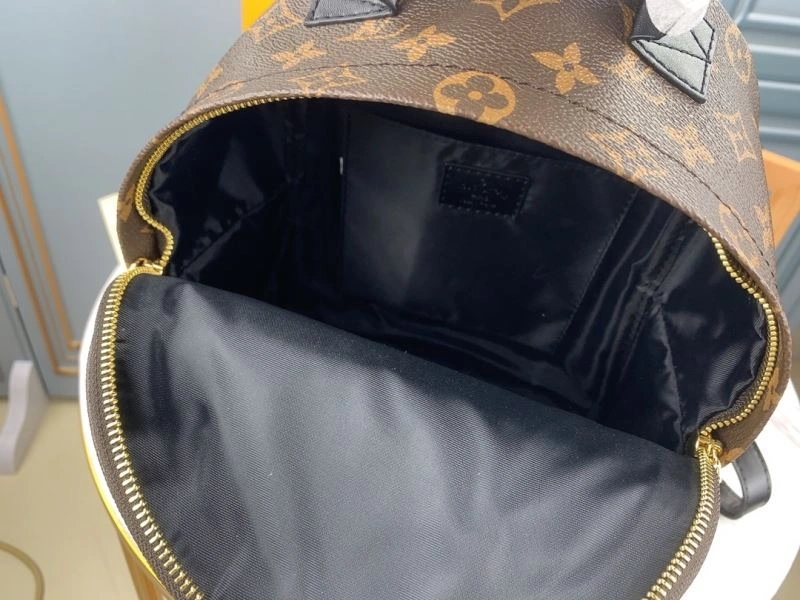 Louis Vuitton Backpacks AllSeason 79914