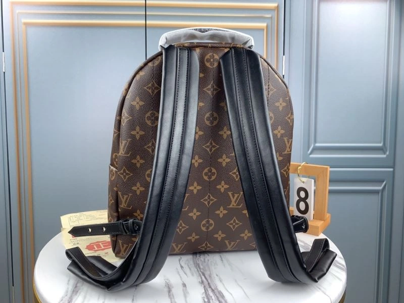 Louis Vuitton Backpacks Functional 79919