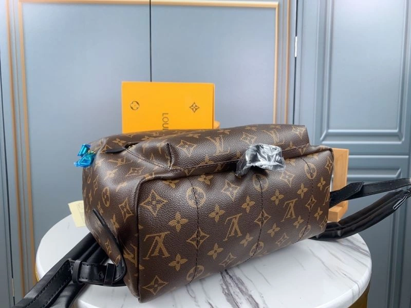 Louis Vuitton Backpacks Functional 79919