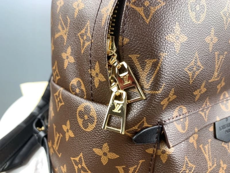 Louis Vuitton Backpacks Functional 79919