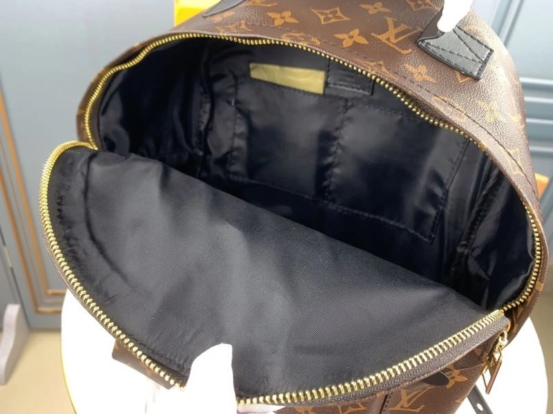 Louis Vuitton Backpacks Functional 79919