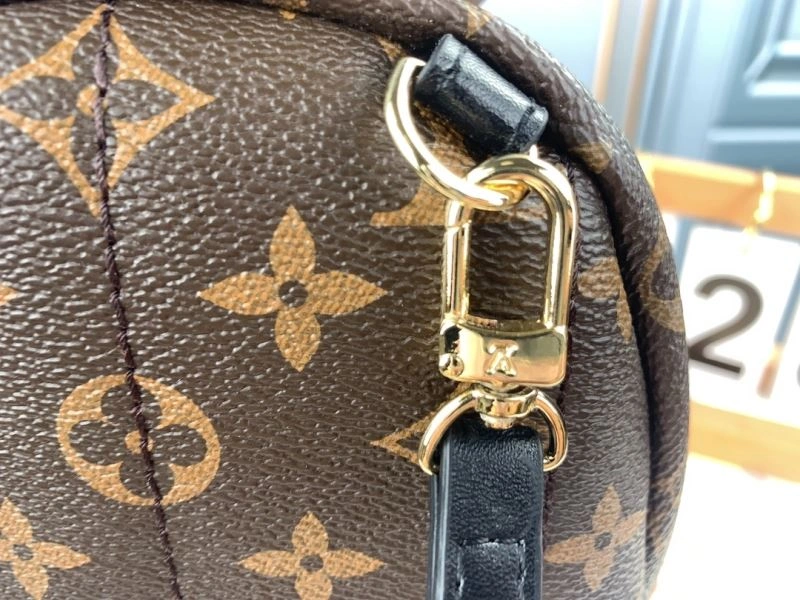 Louis Vuitton Backpacks Durable 79913